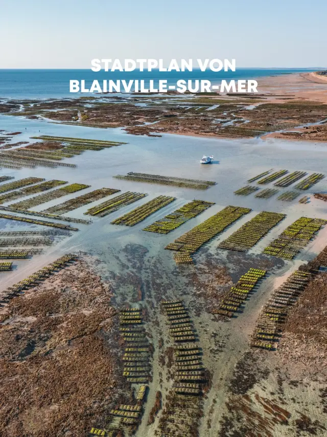 Luftaufnahme der Austernparks von Blainville-sur-Mer