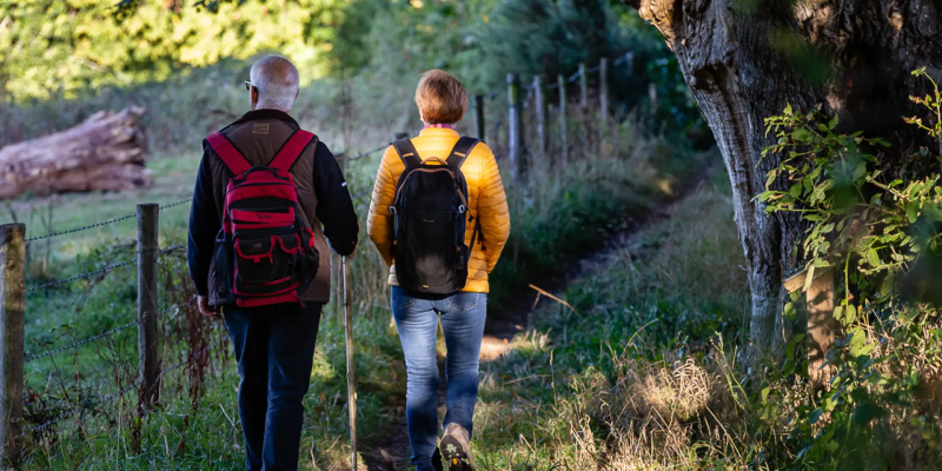 Two people walking in a forest with backpacks