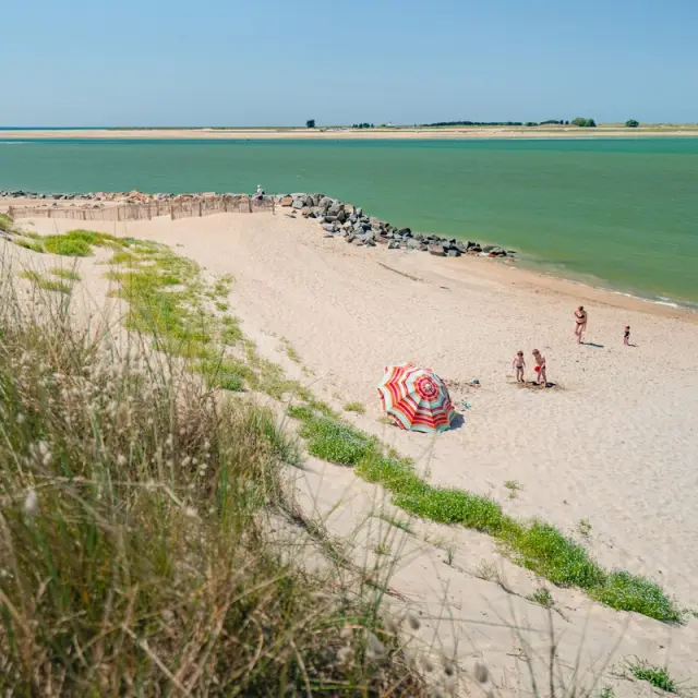A fine sandy beach with people walking along the coast