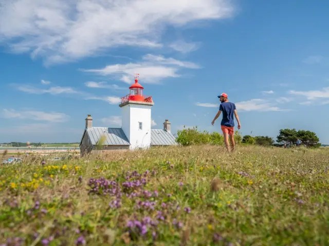 Personne marchant dans un champ de fleurs près du phare de Agon Coutainville