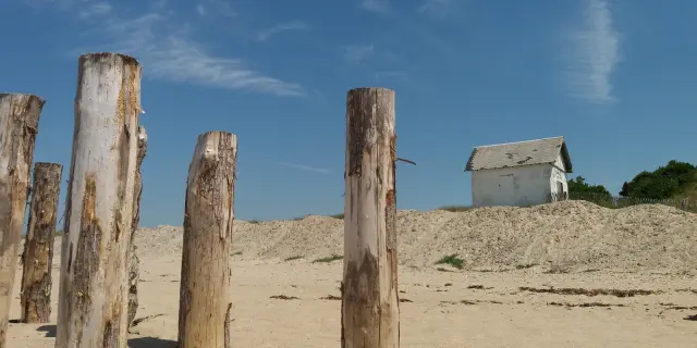 Holzpfähle auf einem Sandstrand mit einer Hütte im Hintergrund
