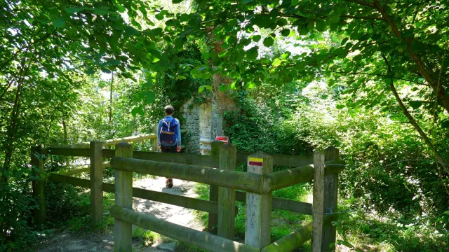 Randonnée dans un chemin à Bricqueville La Blouette
