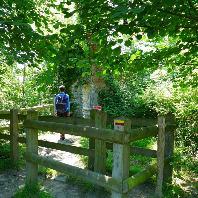 Randonnée dans un chemin à Bricqueville La Blouette