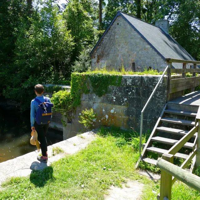 Person walking towards a secluded house near a stream