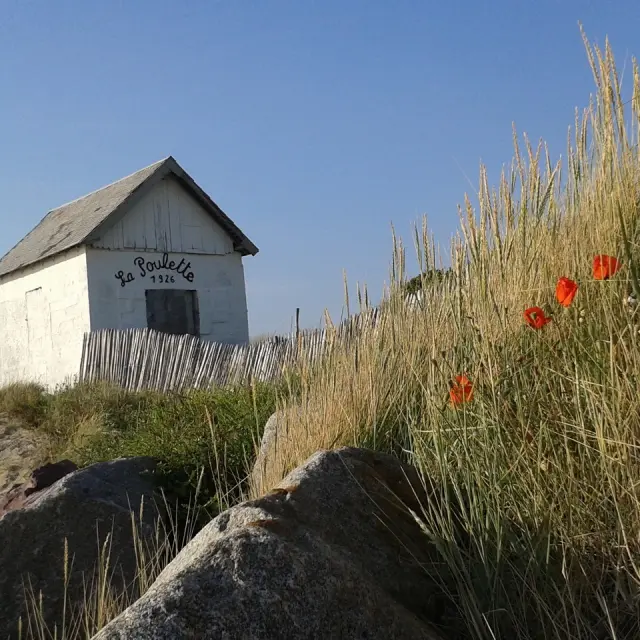 Weiße Hütte in den Dünen mit roten Blumen