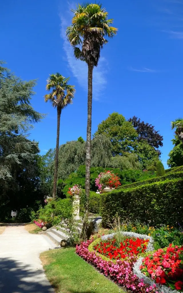 Palmiers au jardin des plantes de Coutances