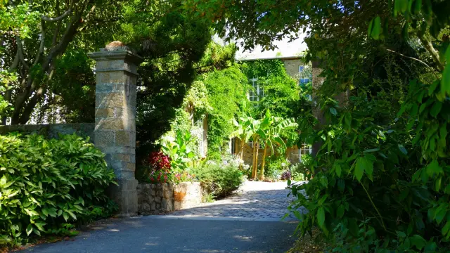 Weg, der zu einem Landhaus führt, umgeben von Grün