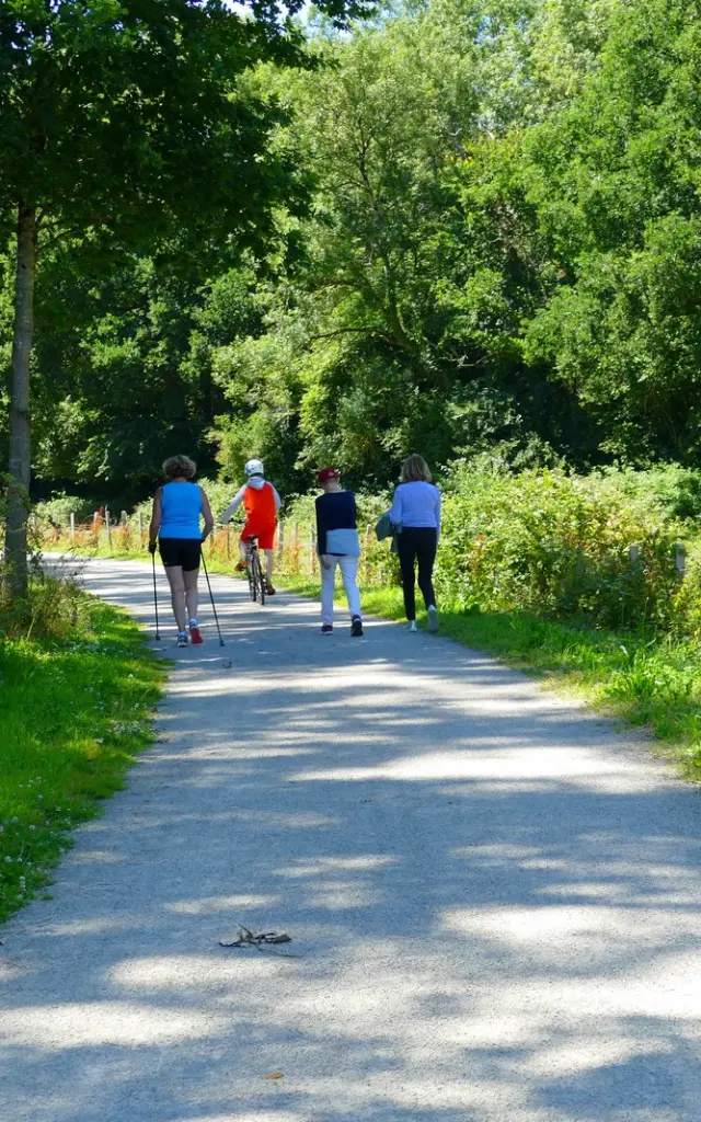 Quatre personnes marchant sur la voie verte