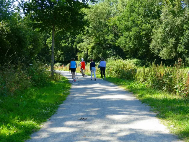 Quatre personnes marchant sur la voie verte