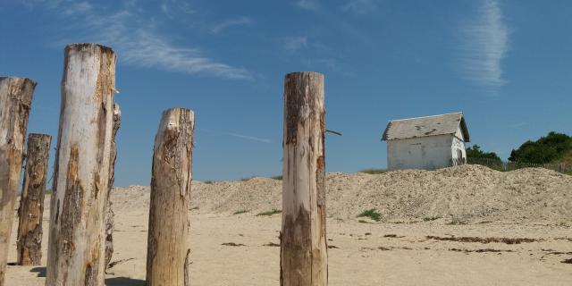 Wooden posts on a sandy beach with a cabin in the background