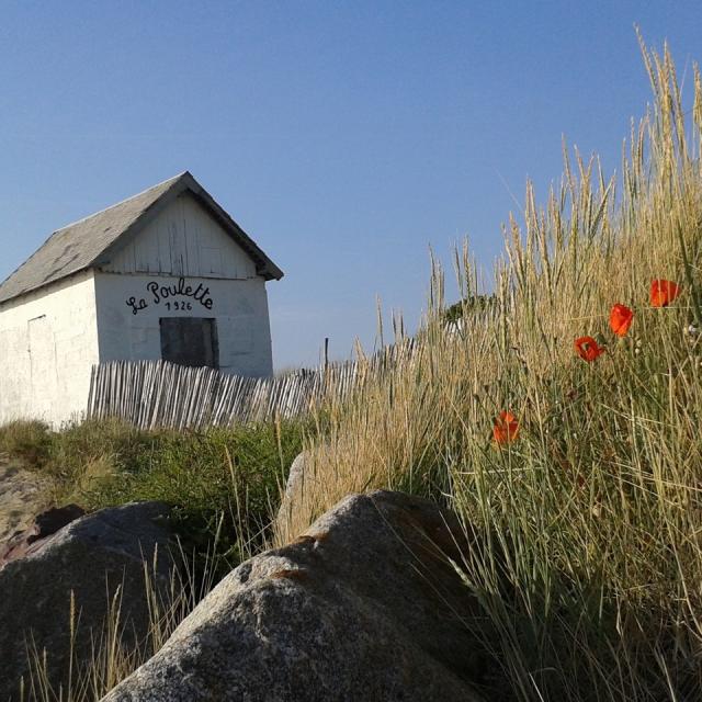 White cabin in the dunes with red flowers