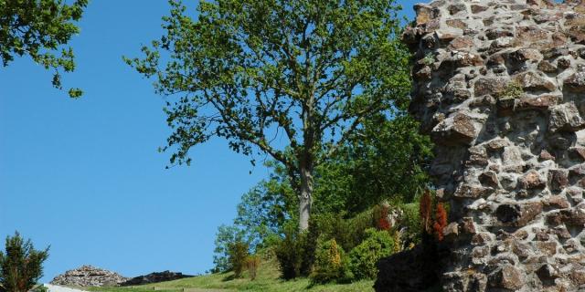 Site archéologique des ruines du château de Garvay
