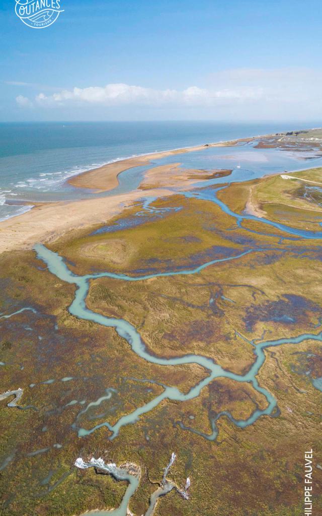 Vue aérienne du havre de Blainville sur Mer : fond d'écran