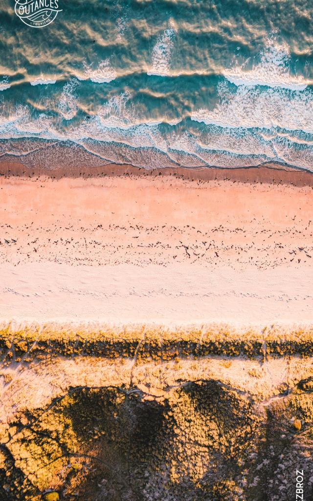 Vagues s'écrasant sur une plage de sable avec une végétation jaune en premier plan : fond d'écran