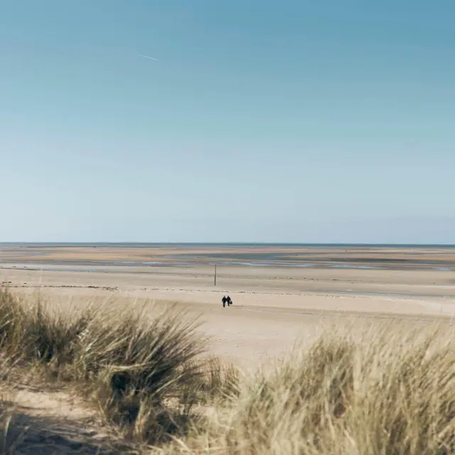 Two people walking on a sandy beach with a calm sea in the background