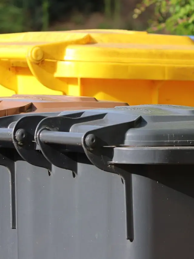 Poubelles de tri jaune et noir alignées
