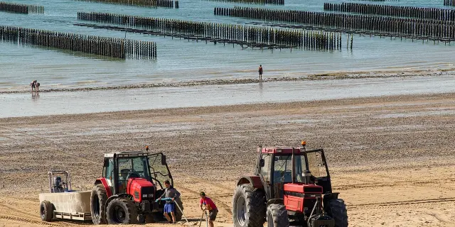 Deux tracteurs rouges sur une plage avec bouchots en arrière plan
