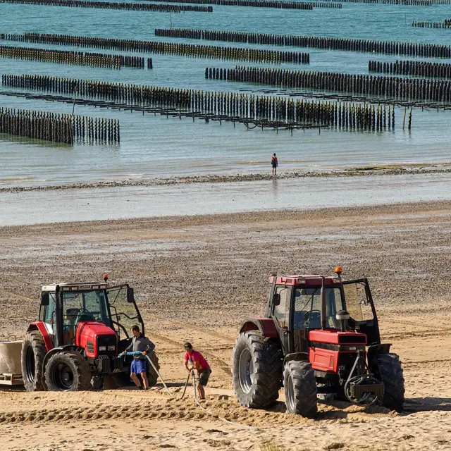 Deux tracteurs rouges sur une plage avec bouchots en arrière plan