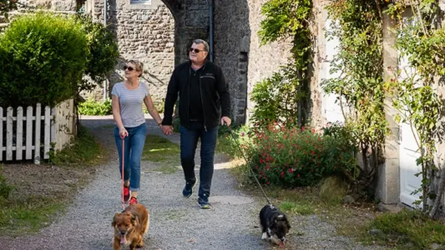 Two people walking with two dogs in an alley between stone buildings