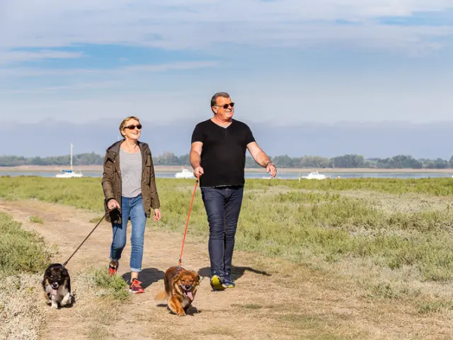 Un homme et une femme promènent deux chiens au bord de l'eau à Regnéville sur Mer