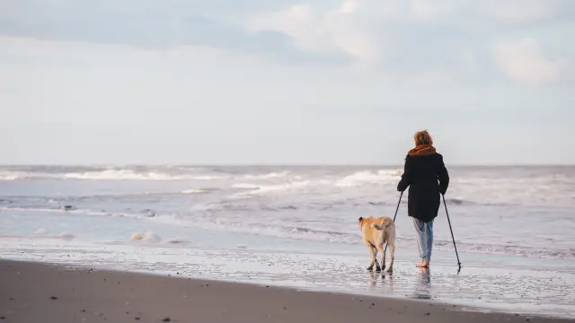 Une personne marche avec un chien sur une plage