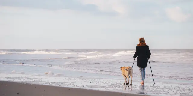 Eine Person geht mit einem Hund am Strand spazieren