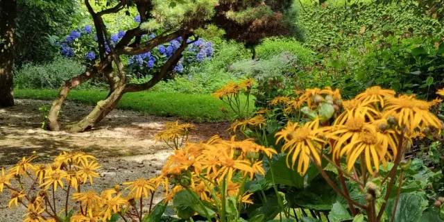 Jardin d'Elle