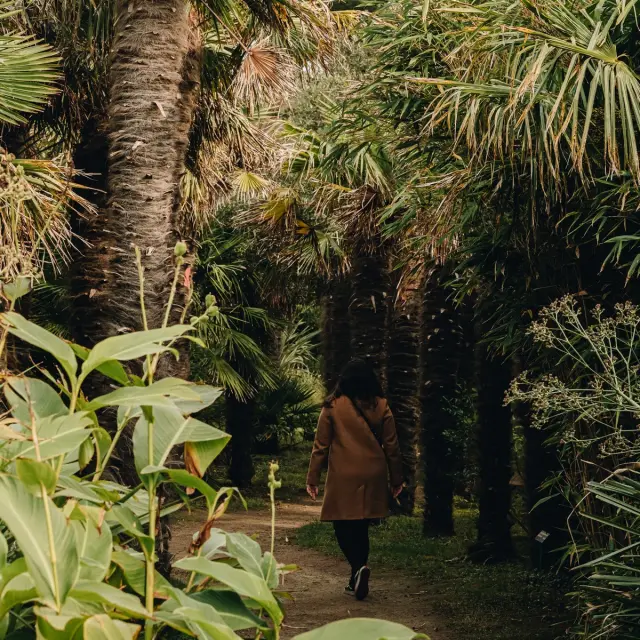 Jardin botanique du château de Vauville
