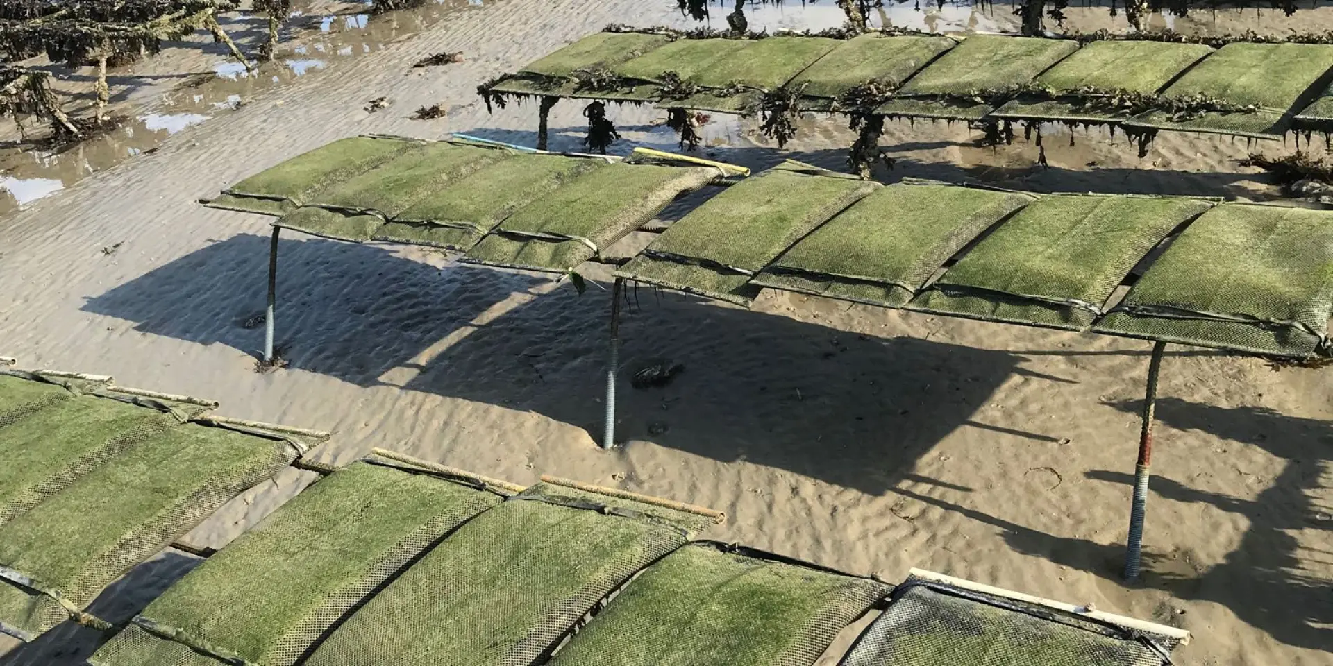 Salt fields by the sea with wooden structures