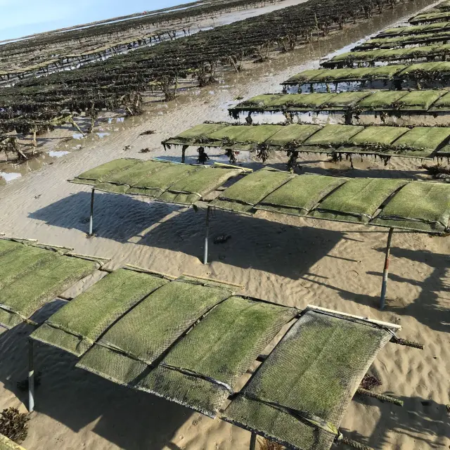 Salt fields by the sea with wooden structures