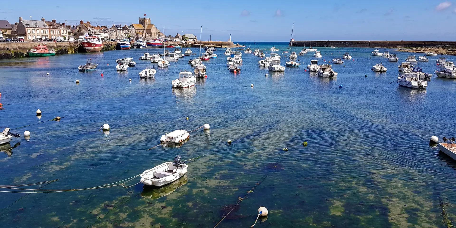 Fishing boats moored in a harbor with buildings in the background