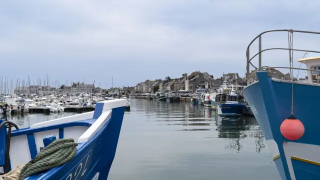 Fishing boats moored in a harbor with houses in the background
