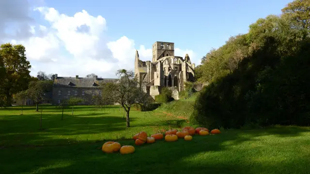 Abbaye de Hambye en automne