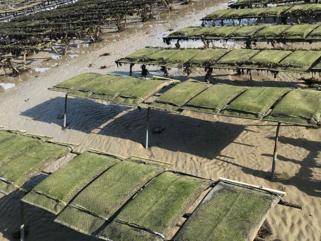 Salt fields by the sea with wooden structures