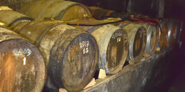 Oak barrels lined up in a dark wine cellar