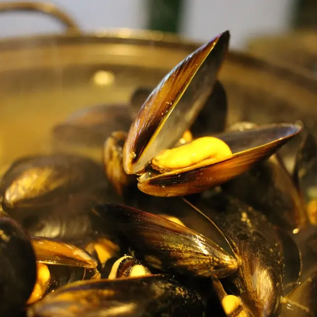 Moules cuites dans un grand plat en métal