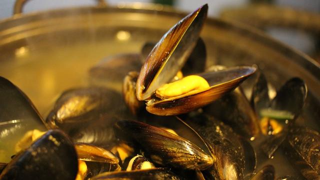Moules cuites dans un grand plat en métal