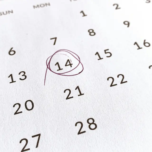 Calendrier éditorial