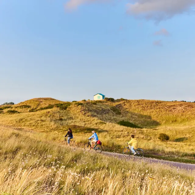 Three people cycling on a country path