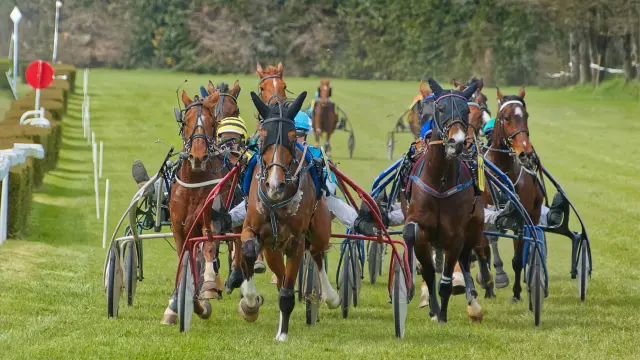 Course de chevaux attelés à Agon Coutainville