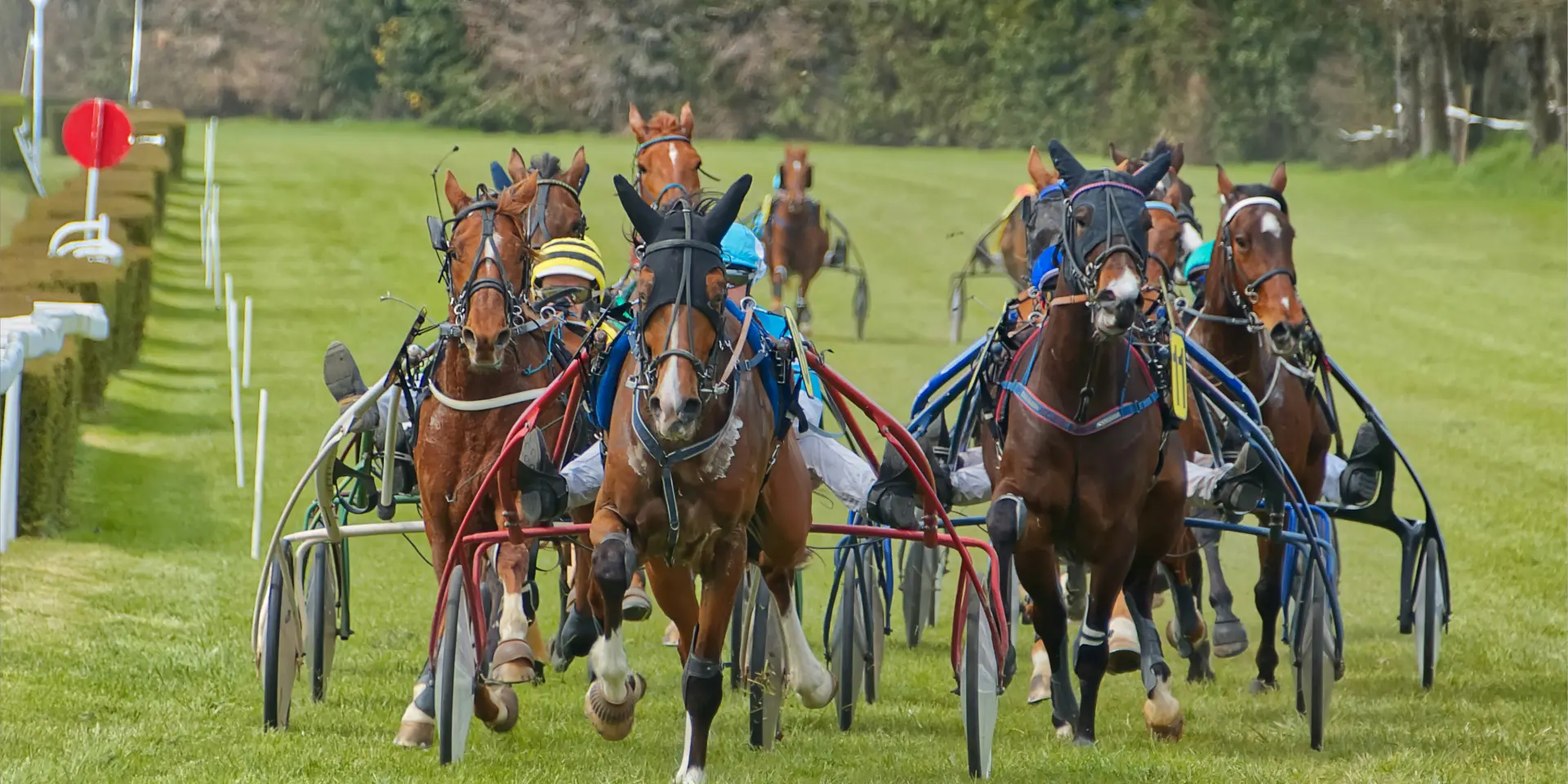 Course de chevaux attelés à Agon Coutainville