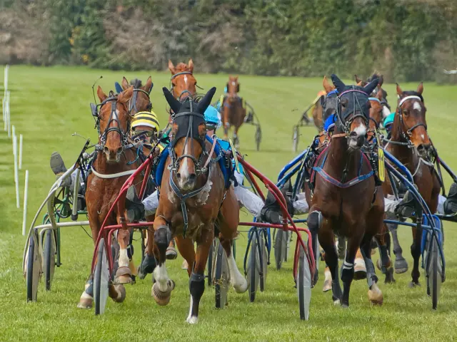 Course de chevaux attelés à Agon Coutainville