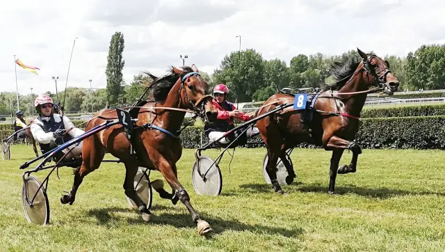 Courses hippiques à Agon Coutainville