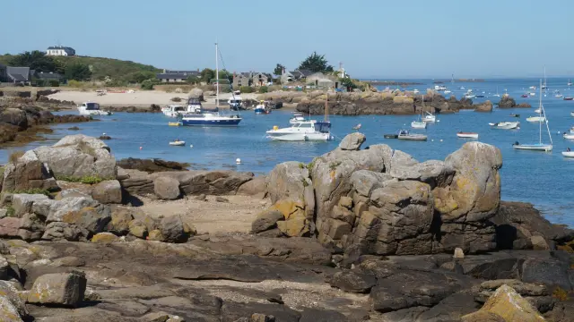 Boote im Fischereihafen mit Felsen im Vordergrund
