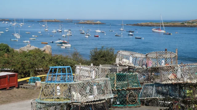Stacked fishing nets near a harbor with boats in the background