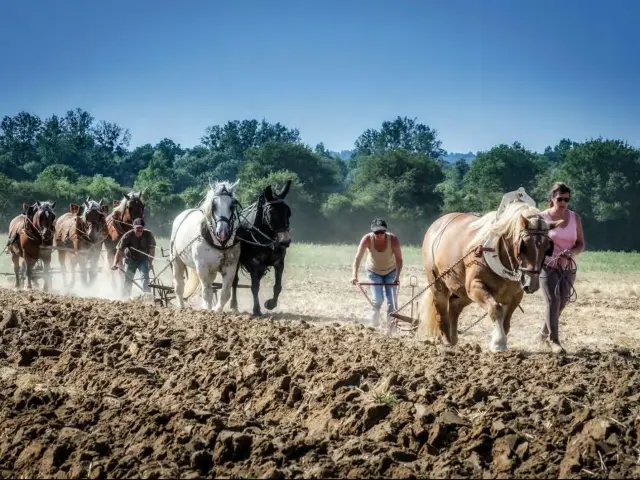 La terre qui nourrit les hommes - Image sans frontières