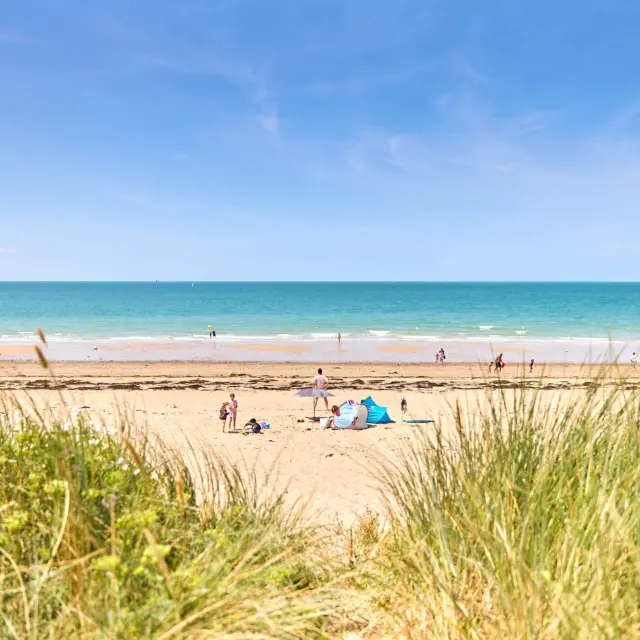 People enjoying a sunny day on a sandy beach