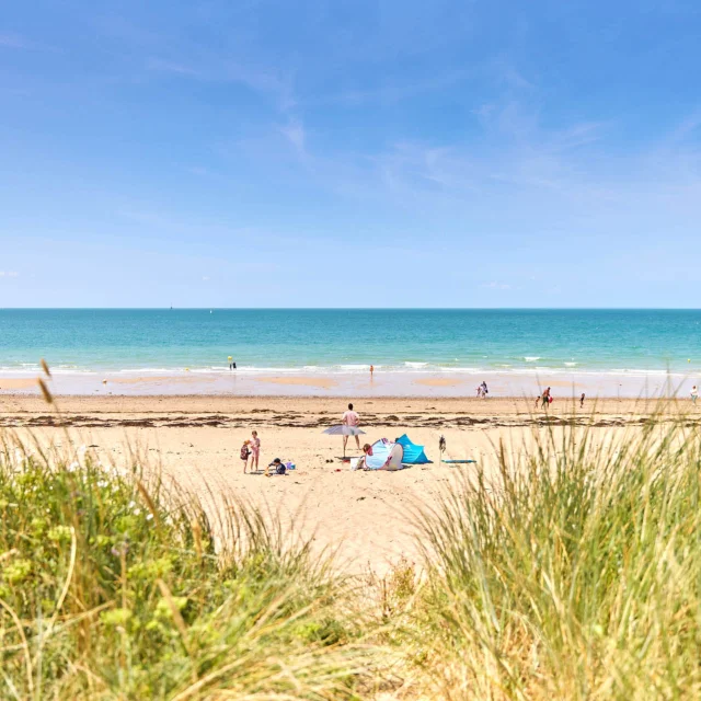 Plage Gouville Sur Mer @alamoureux D6a7082