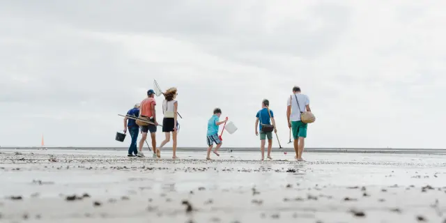 Une famille marche sur une plage à la recherche de coquillages