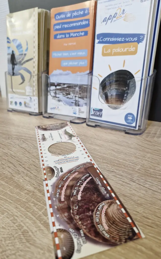 Réglette et brochures d'identification des coquillages et de la pêche à pied